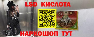 прущие грибы Будённовск
