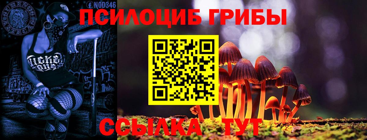 Псилоцибиновые грибы MAGIC MUSHROOMS Курчалой