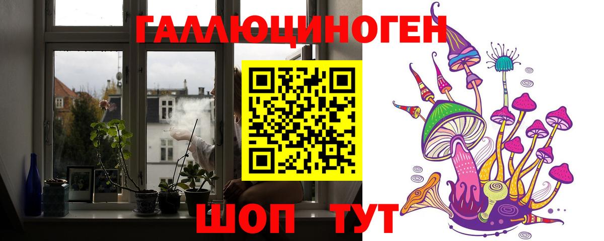 Курчалой  Галлюциногенные грибы Cubensis  Вход с VPN 